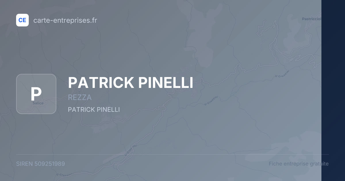 PATRICK PINELLI — 509251989 — fiche entreprise