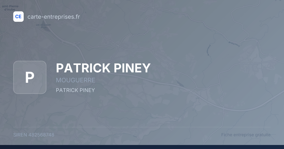 PATRICK PINEY — 482568748 — fiche entreprise