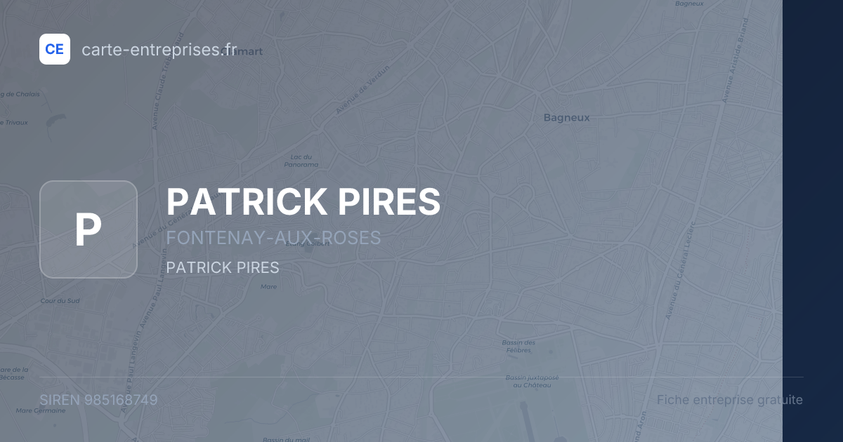 PATRICK PIRES — 985168749 — fiche entreprise