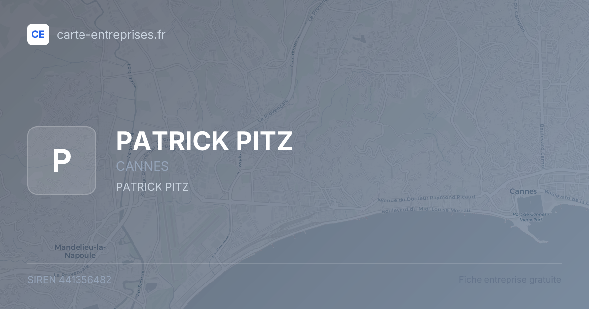 PATRICK PITZ — 441356482 — fiche entreprise