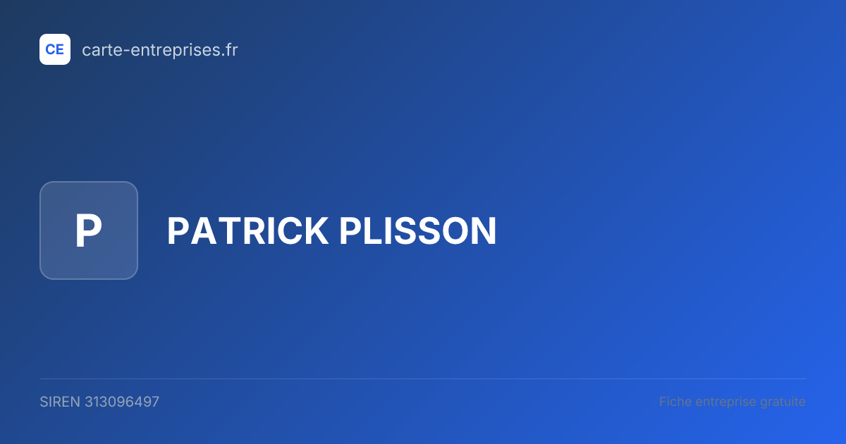 PATRICK PLISSON — 313096497 — fiche entreprise