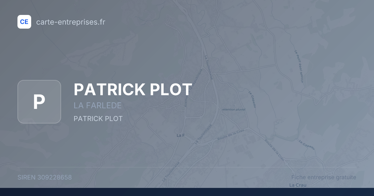 PATRICK PLOT — 309228658 — fiche entreprise