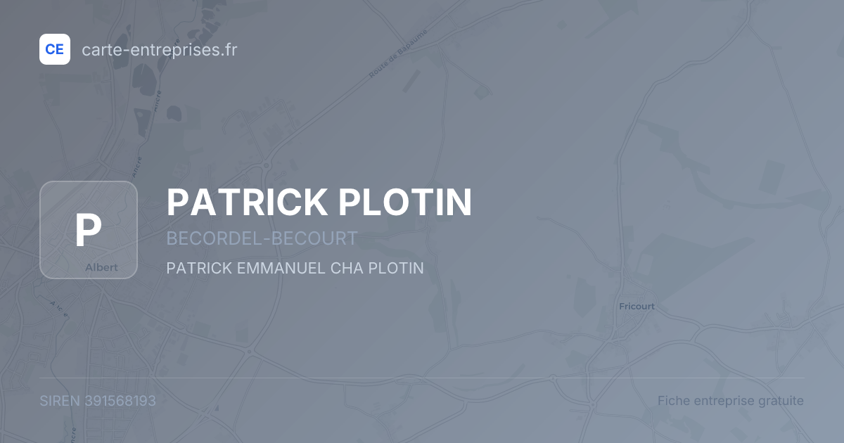 PATRICK PLOTIN — 391568193 — fiche entreprise