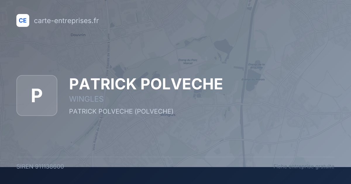 PATRICK POLVECHE — 911138600 — fiche entreprise