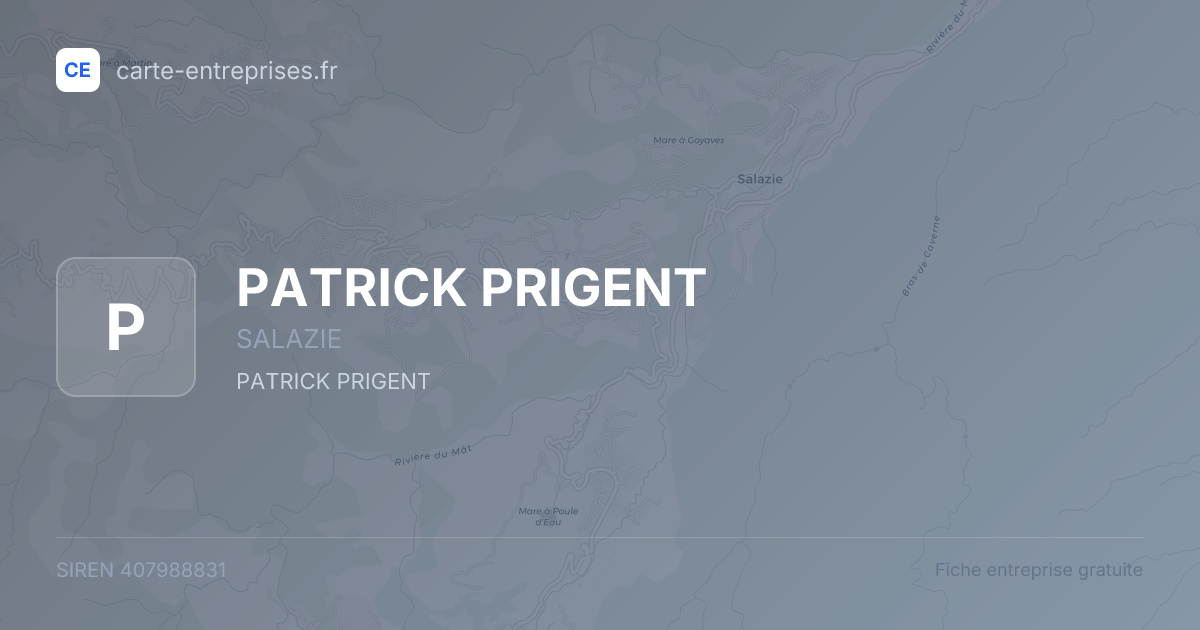 PATRICK PRIGENT — 407988831 — fiche entreprise