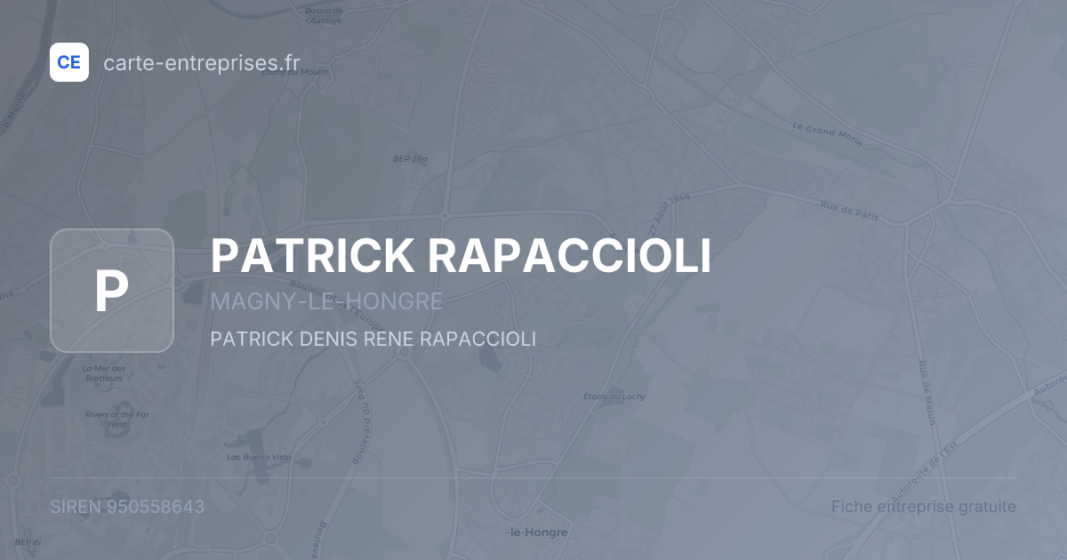 PATRICK RAPACCIOLI — 950558643 — fiche entreprise