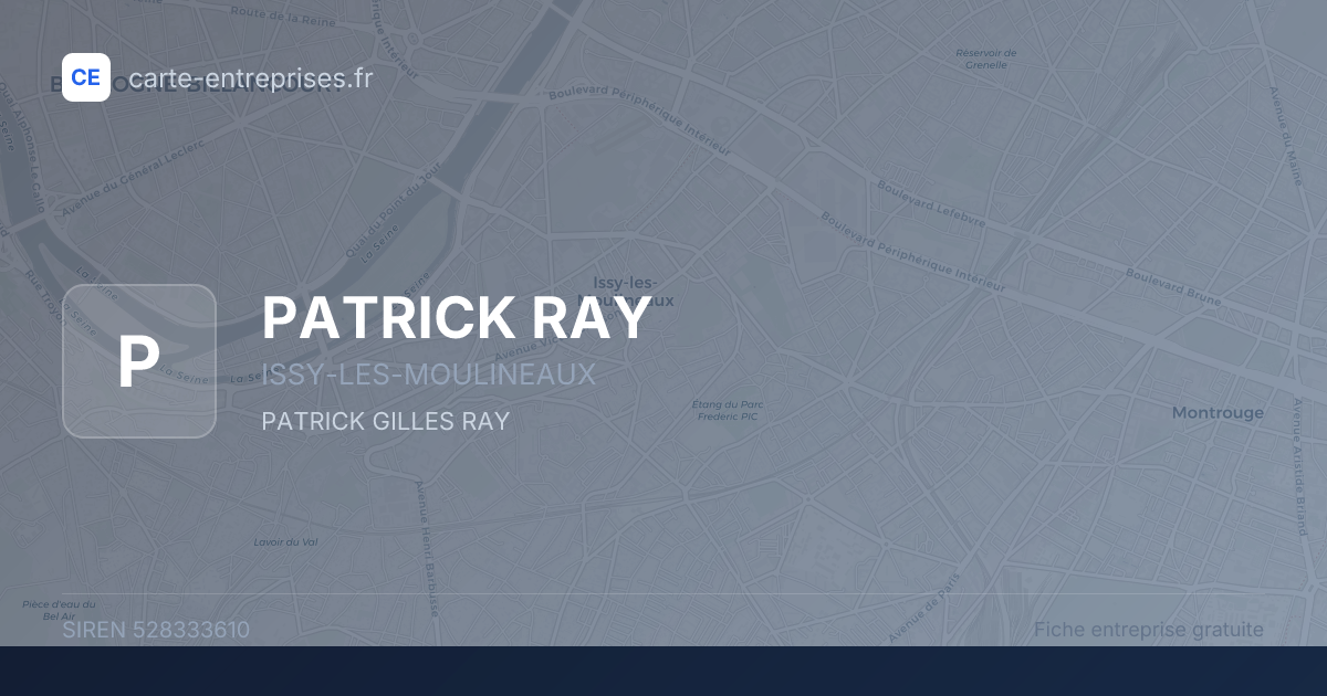 PATRICK RAY — 528333610 — fiche entreprise