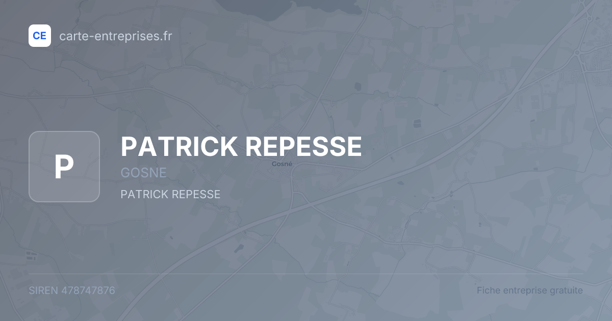 PATRICK REPESSE — 478747876 — fiche entreprise