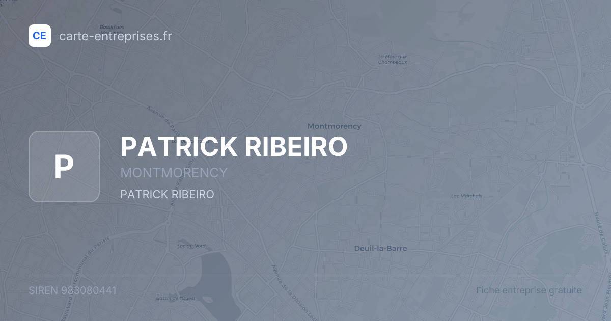 PATRICK RIBEIRO — 983080441 — fiche entreprise