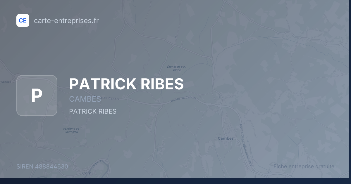 PATRICK RIBES — 488844630 — fiche entreprise