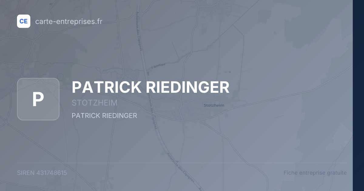 PATRICK RIEDINGER — 431748615 — fiche entreprise