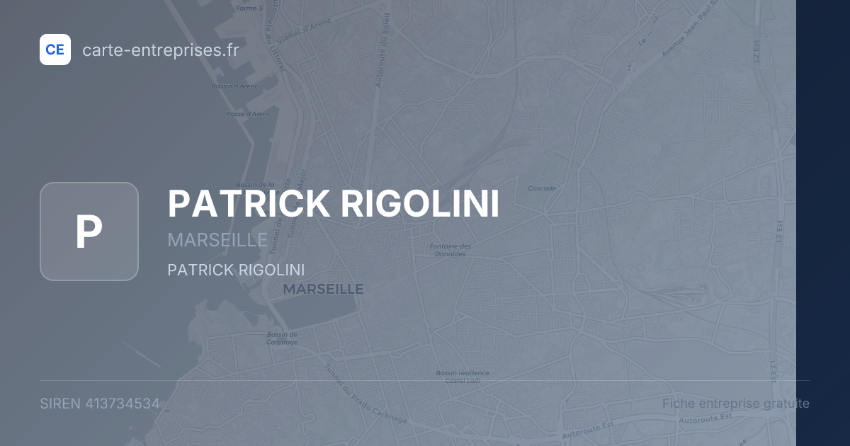 PATRICK RIGOLINI — 413734534 — fiche entreprise