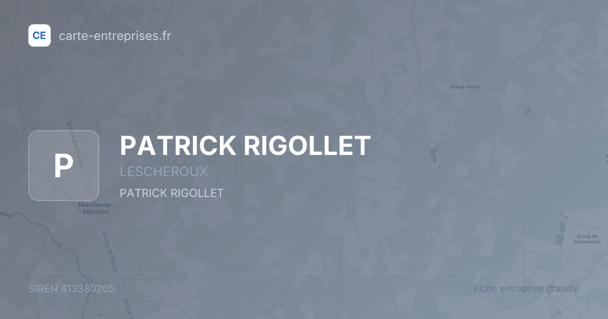 PATRICK RIGOLLET — 413380205 — fiche entreprise