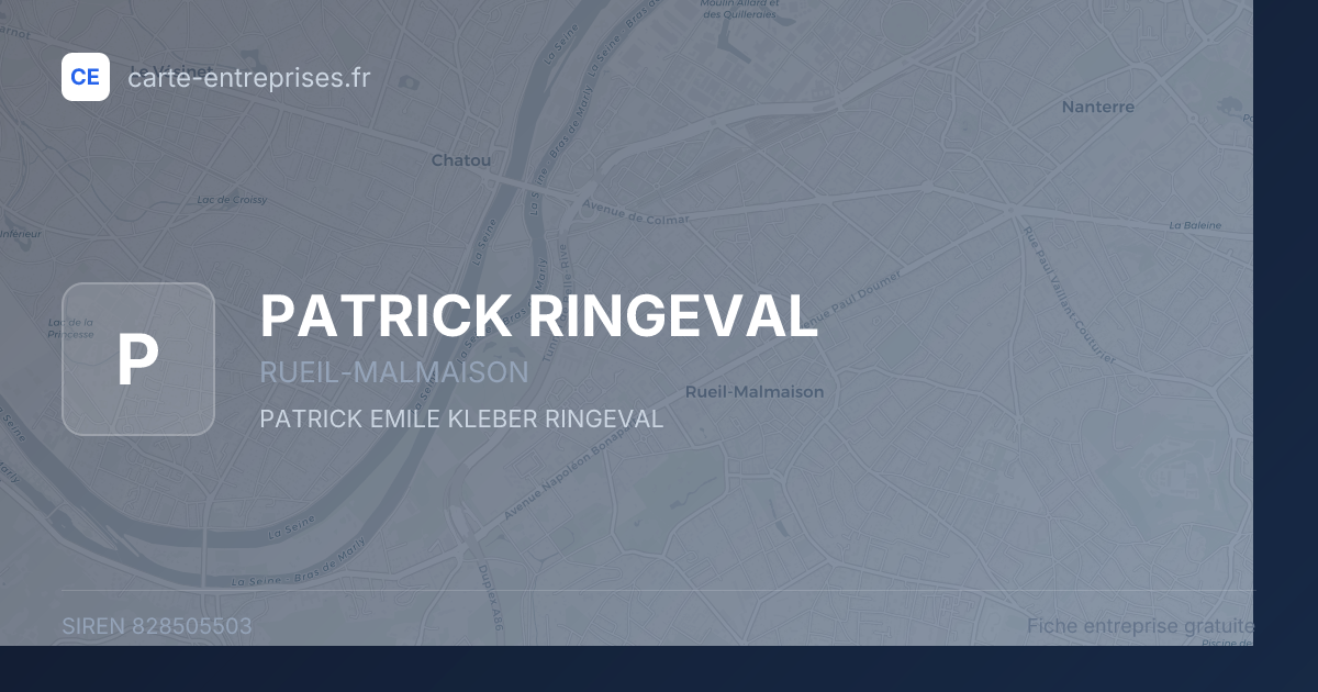 PATRICK RINGEVAL — 828505503 — fiche entreprise
