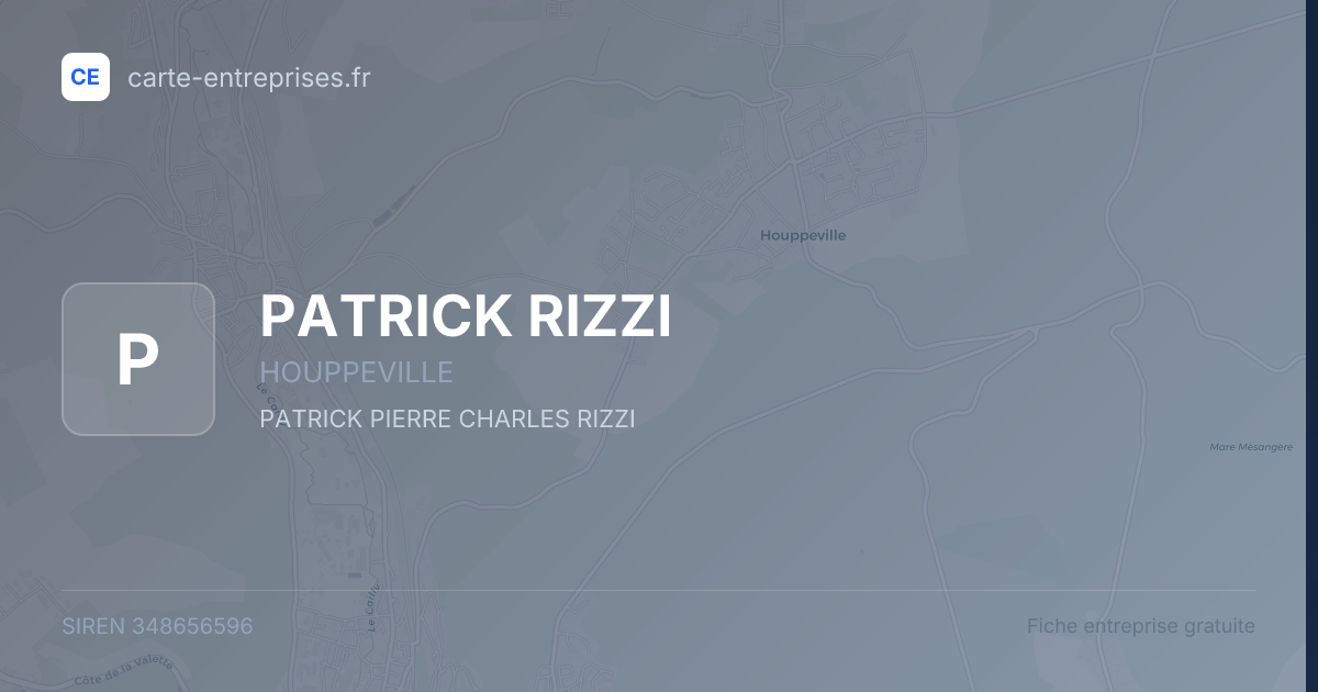 PATRICK RIZZI — 348656596 — fiche entreprise