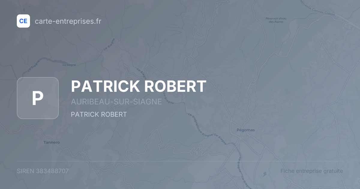 PATRICK ROBERT — 383488707 — fiche entreprise