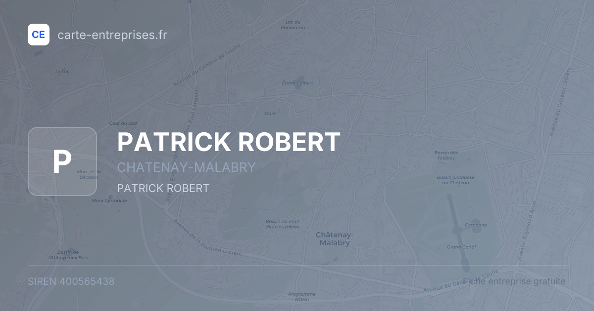 PATRICK ROBERT — 400565438 — fiche entreprise