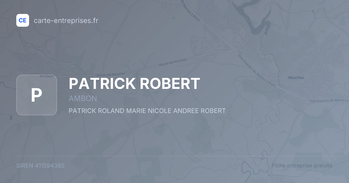 PATRICK ROBERT — 411594385 — fiche entreprise