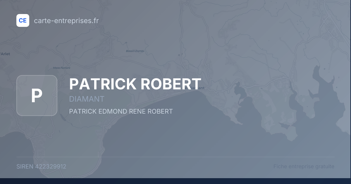 PATRICK ROBERT — 422329912 — fiche entreprise