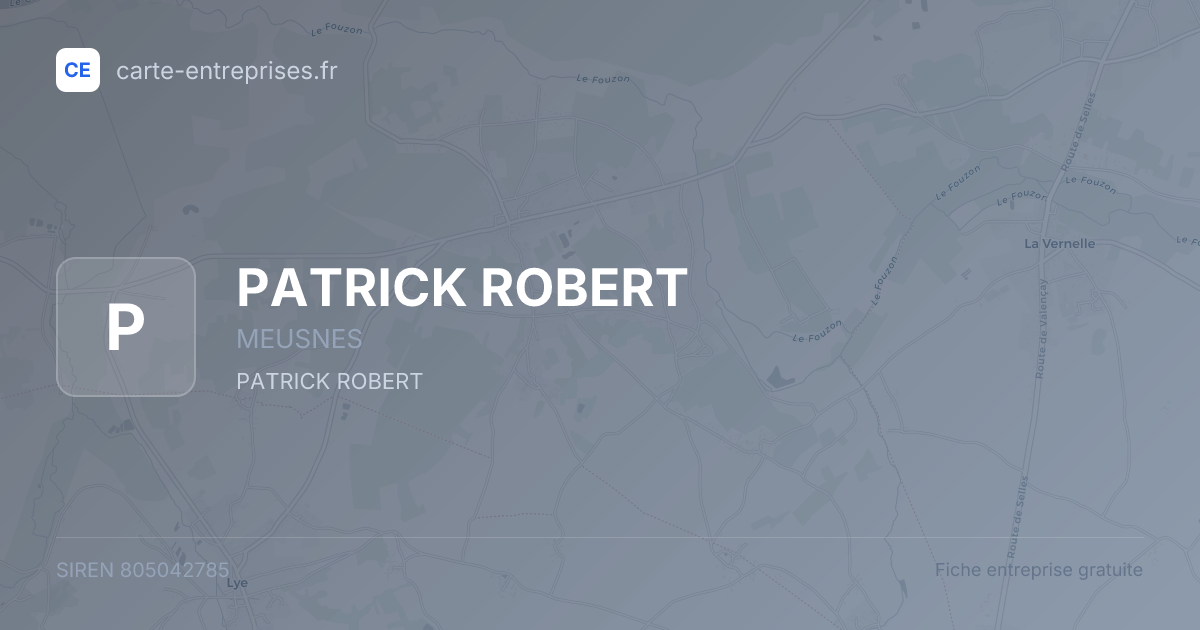 PATRICK ROBERT — 805042785 — fiche entreprise