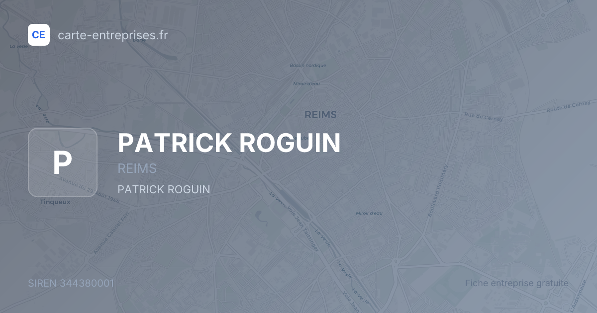 PATRICK ROGUIN — 344380001 — fiche entreprise