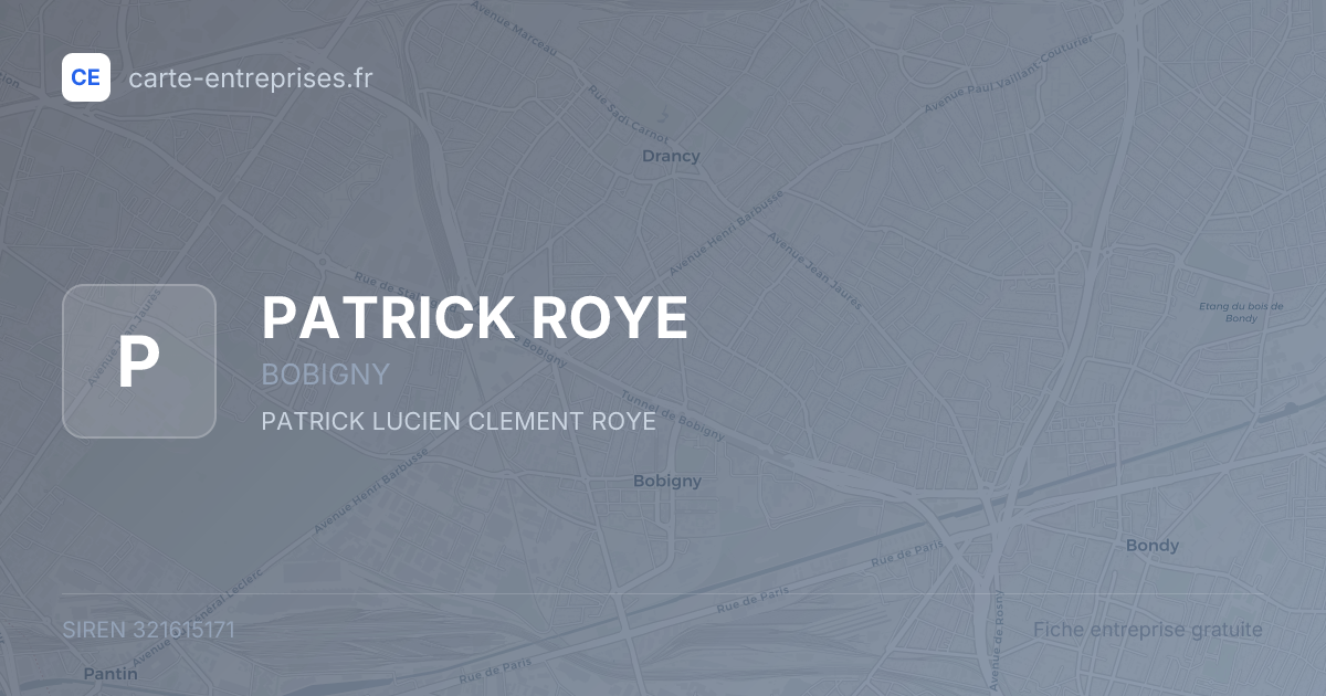 PATRICK ROYE — 321615171 — fiche entreprise
