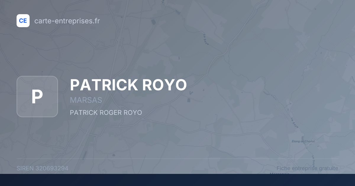 PATRICK ROYO — 320693294 — fiche entreprise