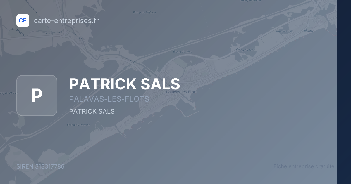 PATRICK SALS — 313317786 — fiche entreprise