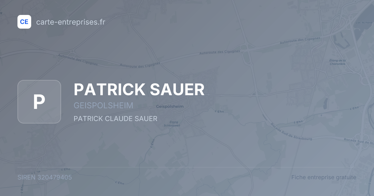 PATRICK SAUER — 320479405 — fiche entreprise