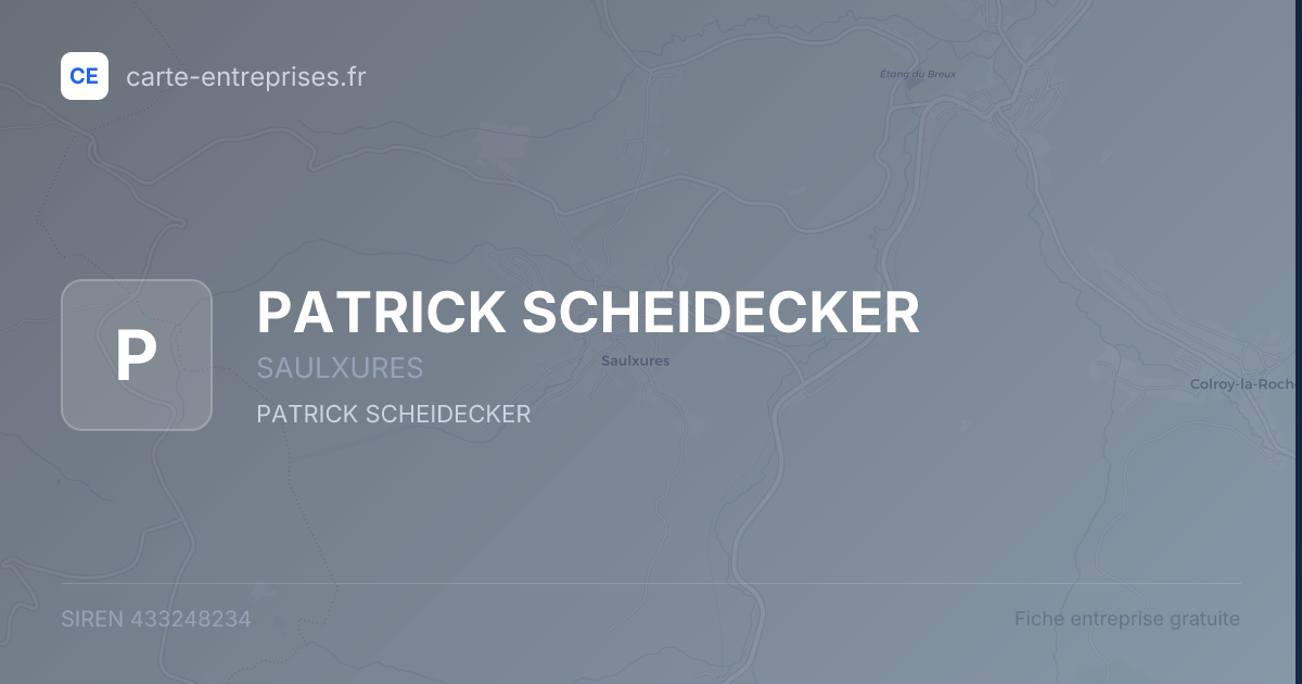 PATRICK SCHEIDECKER — 433248234 — fiche entreprise