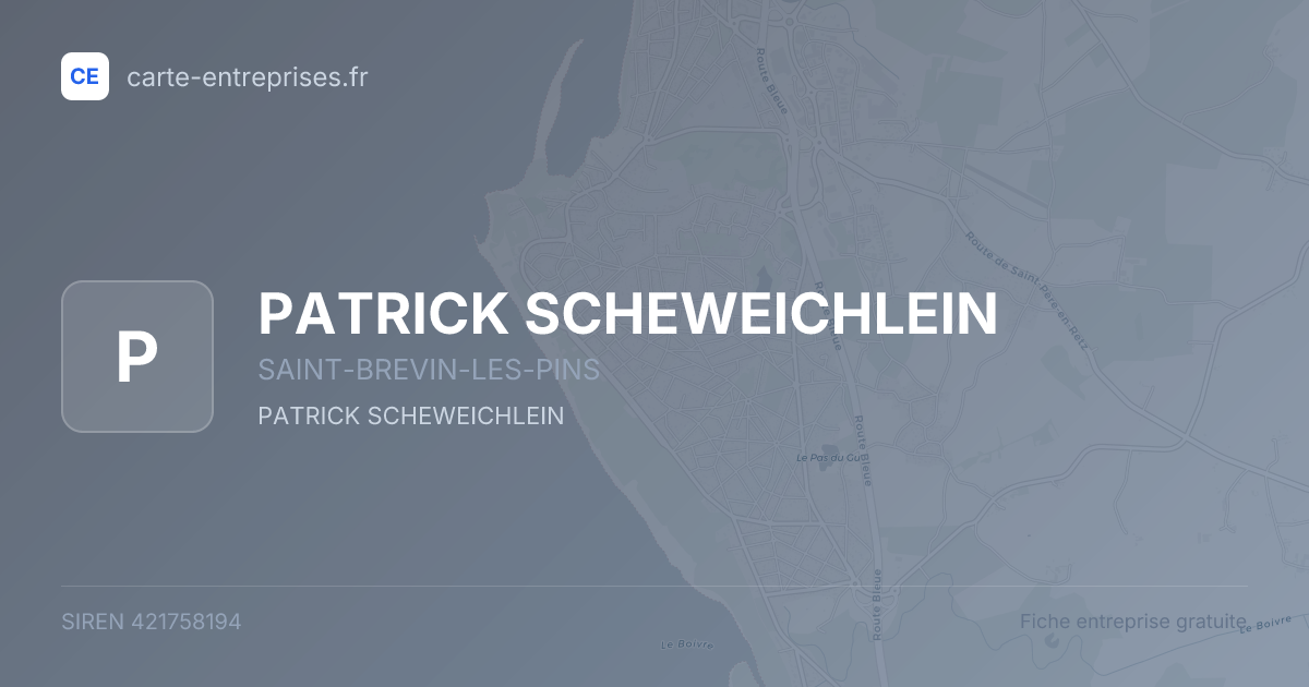 PATRICK SCHEWEICHLEIN — 421758194 — fiche entreprise