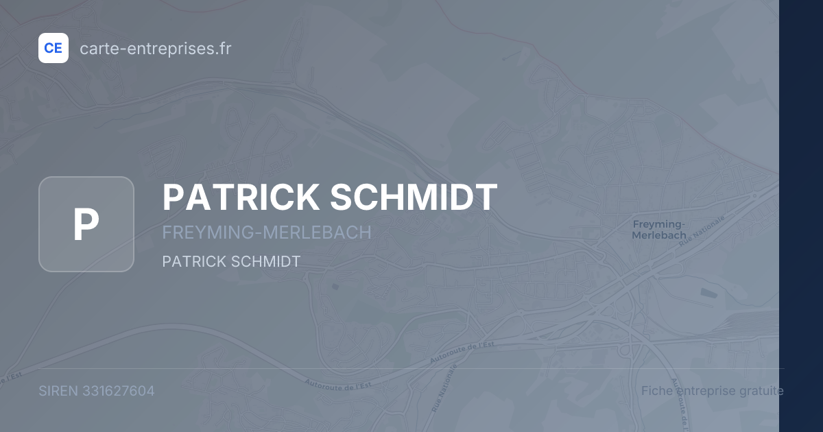 PATRICK SCHMIDT — 331627604 — fiche entreprise