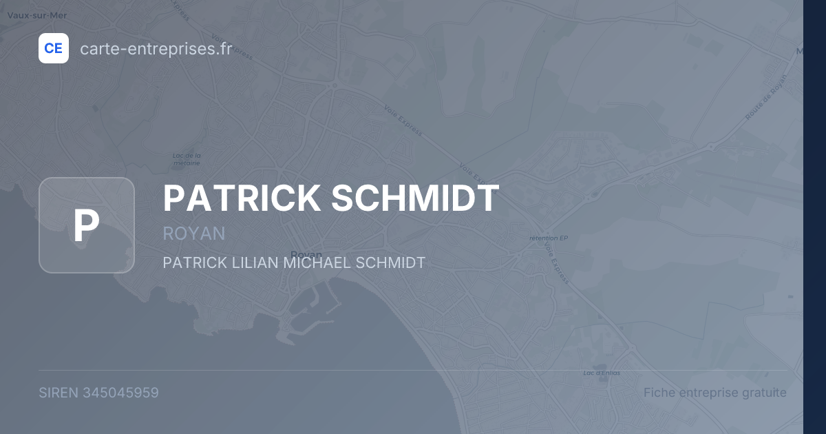 PATRICK SCHMIDT — 345045959 — fiche entreprise