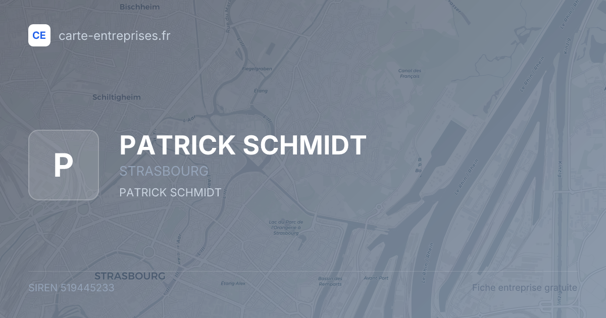 PATRICK SCHMIDT — 519445233 — fiche entreprise
