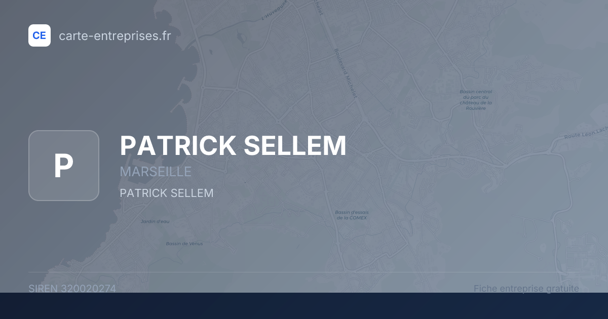 PATRICK SELLEM — 320020274 — fiche entreprise
