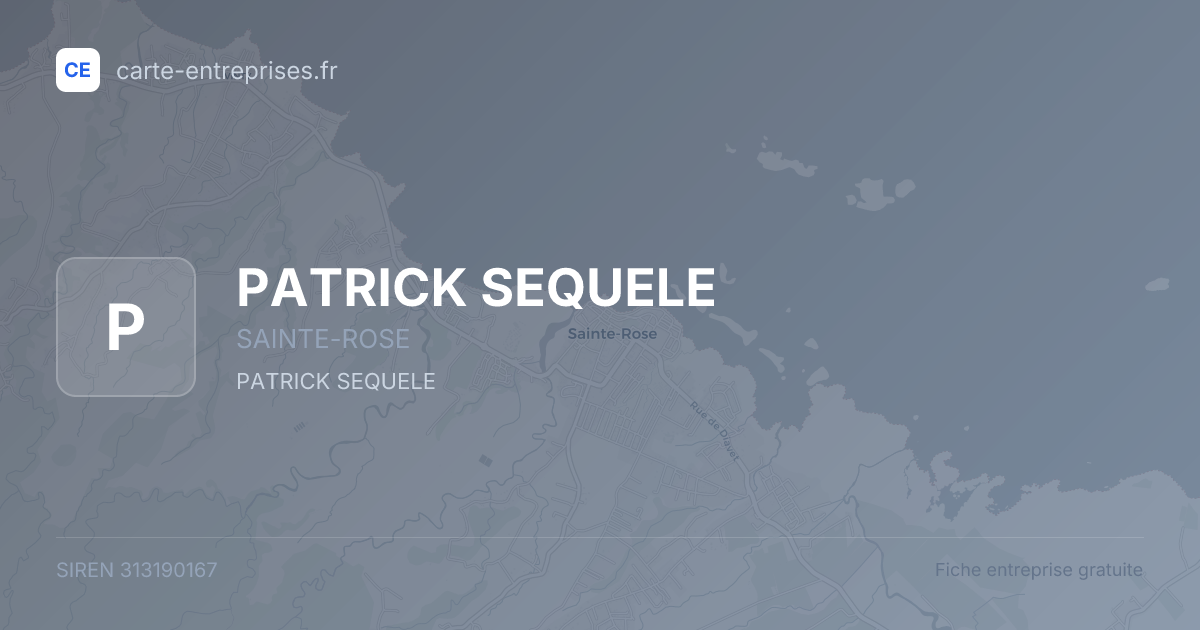 PATRICK SEQUELE — 313190167 — fiche entreprise
