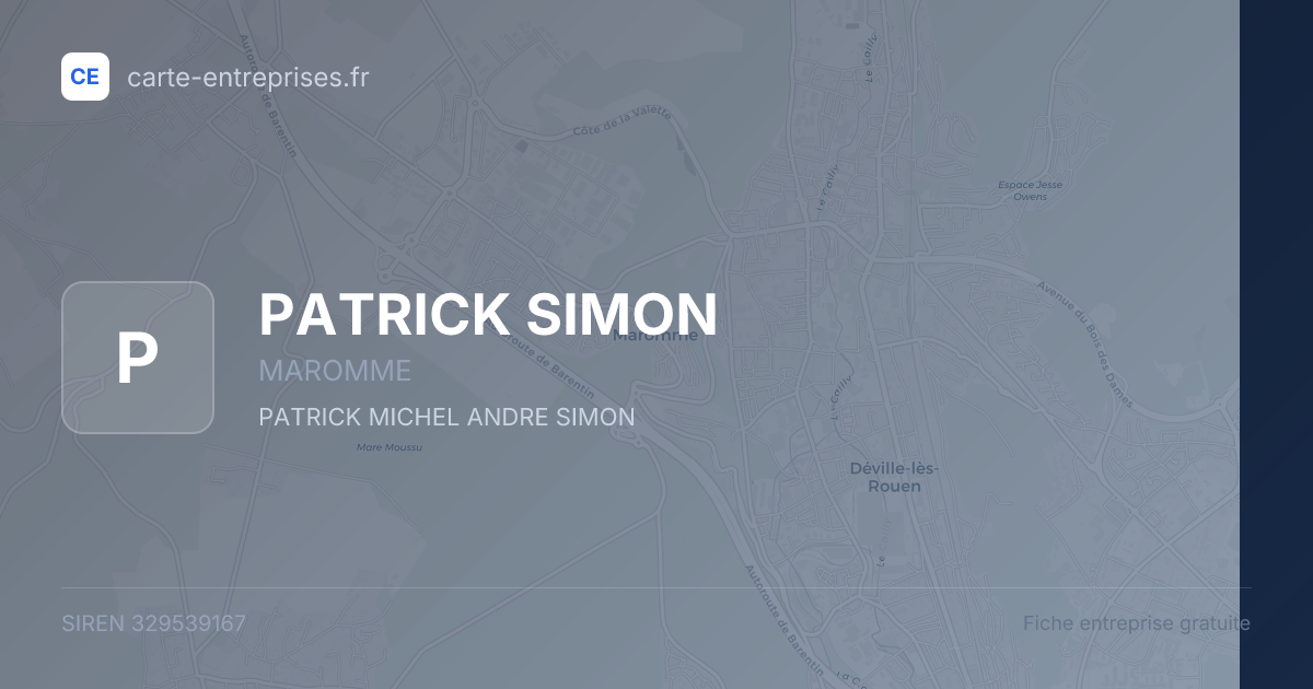 PATRICK SIMON — 329539167 — fiche entreprise