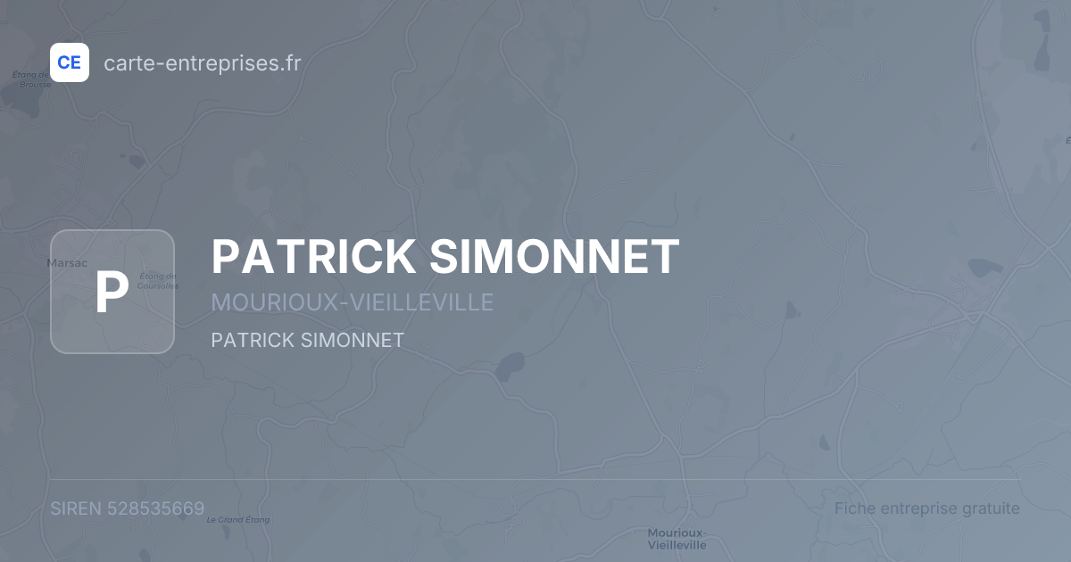 PATRICK SIMONNET — 528535669 — fiche entreprise