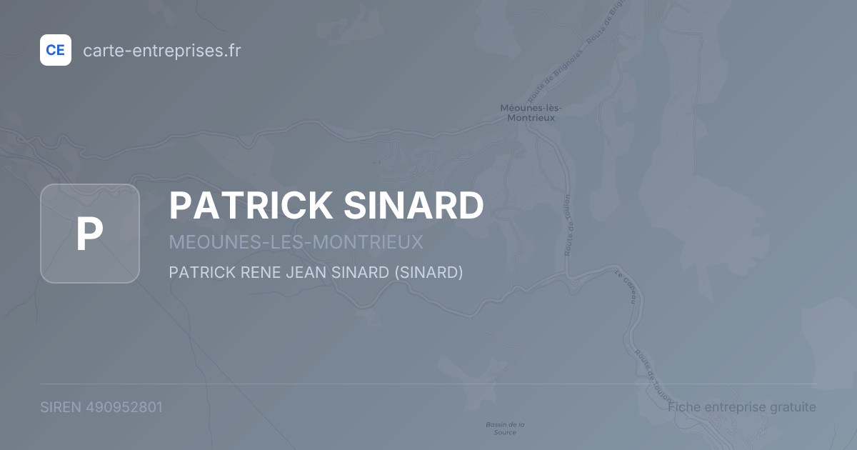 PATRICK SINARD — 490952801 — fiche entreprise