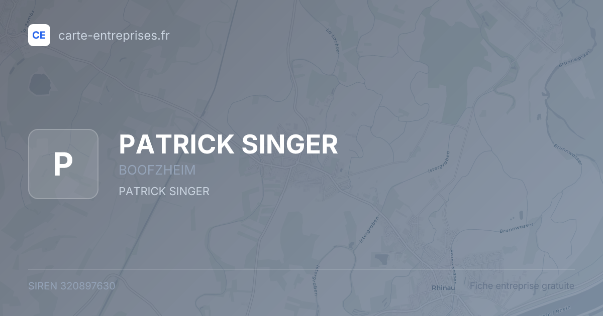 PATRICK SINGER — 320897630 — fiche entreprise