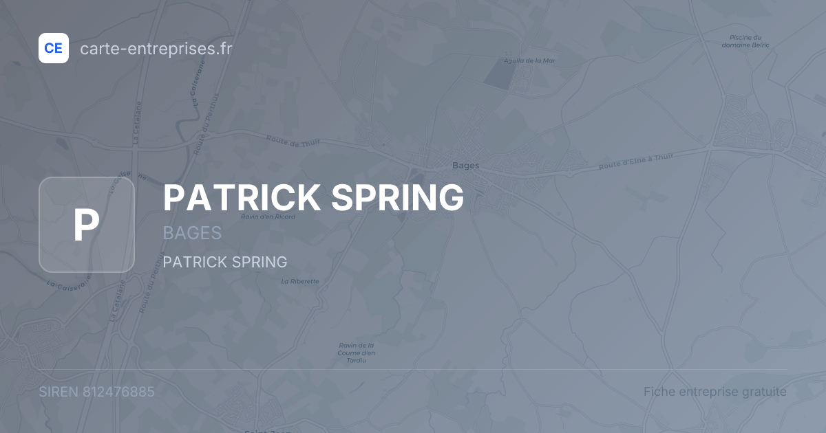 PATRICK SPRING — 812476885 — fiche entreprise