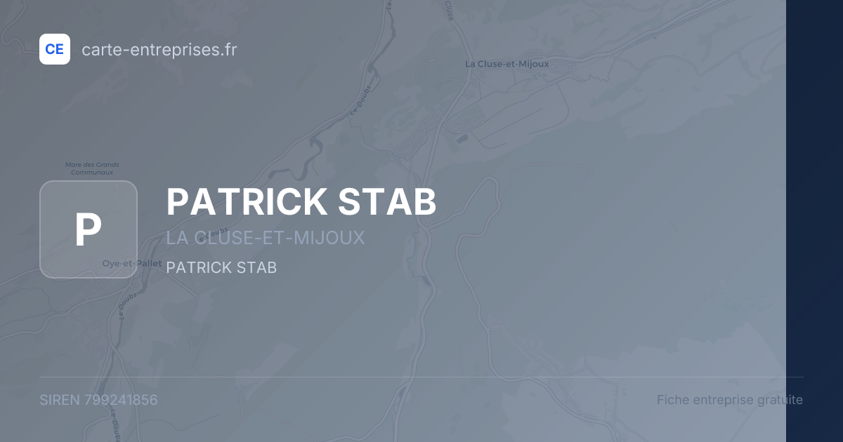 PATRICK STAB — 799241856 — fiche entreprise