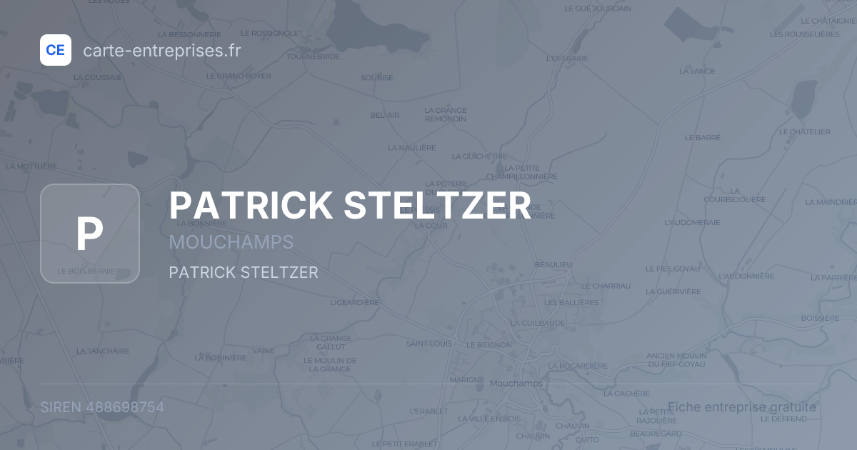 PATRICK STELTZER — 488698754 — fiche entreprise
