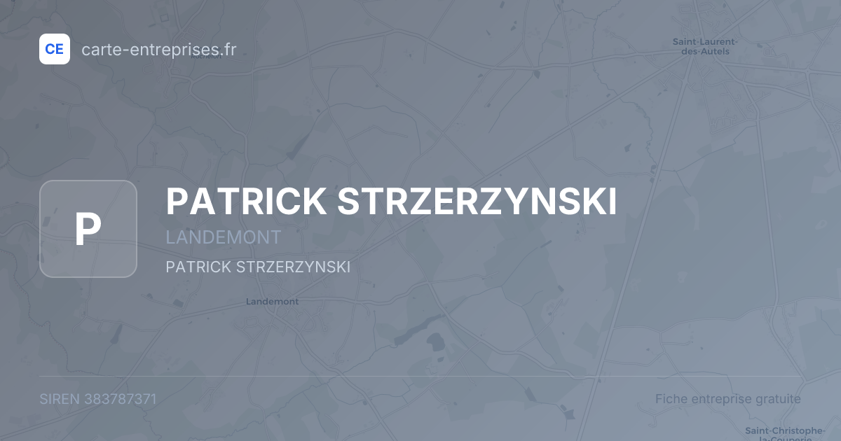 PATRICK STRZERZYNSKI — 383787371 — fiche entreprise