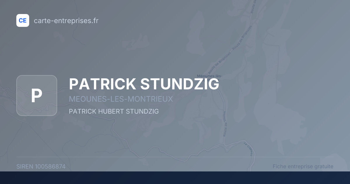 PATRICK STUNDZIG — 100586874 — fiche entreprise