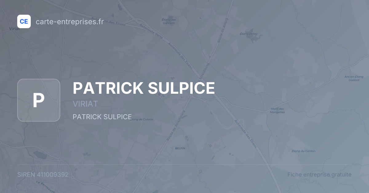 PATRICK SULPICE — 411009392 — fiche entreprise