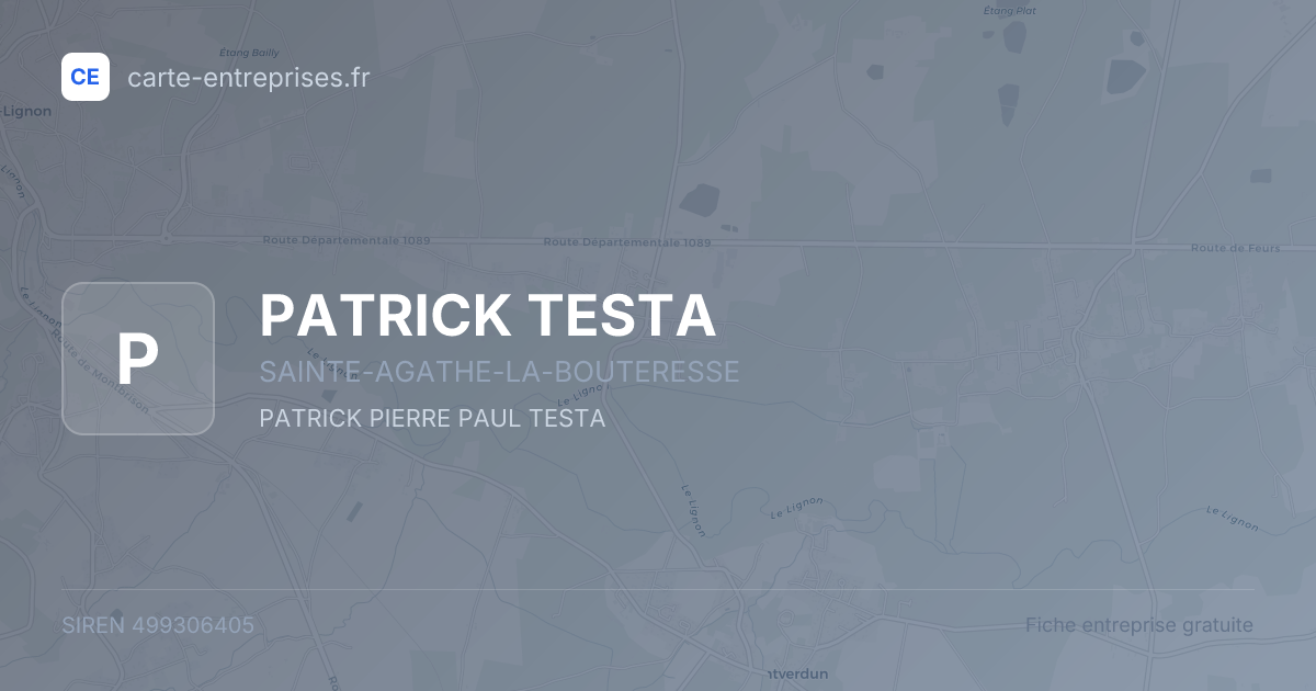 PATRICK TESTA — 499306405 — fiche entreprise