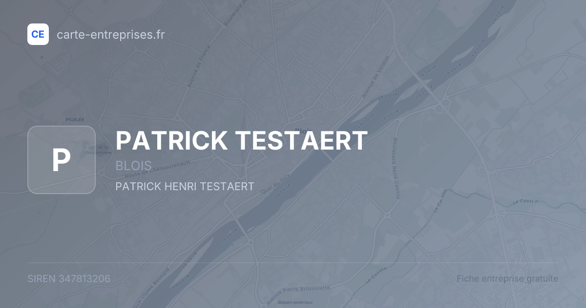PATRICK TESTAERT — 347813206 — fiche entreprise