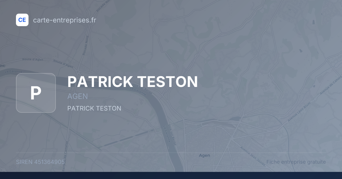 PATRICK TESTON — 451364905 — fiche entreprise