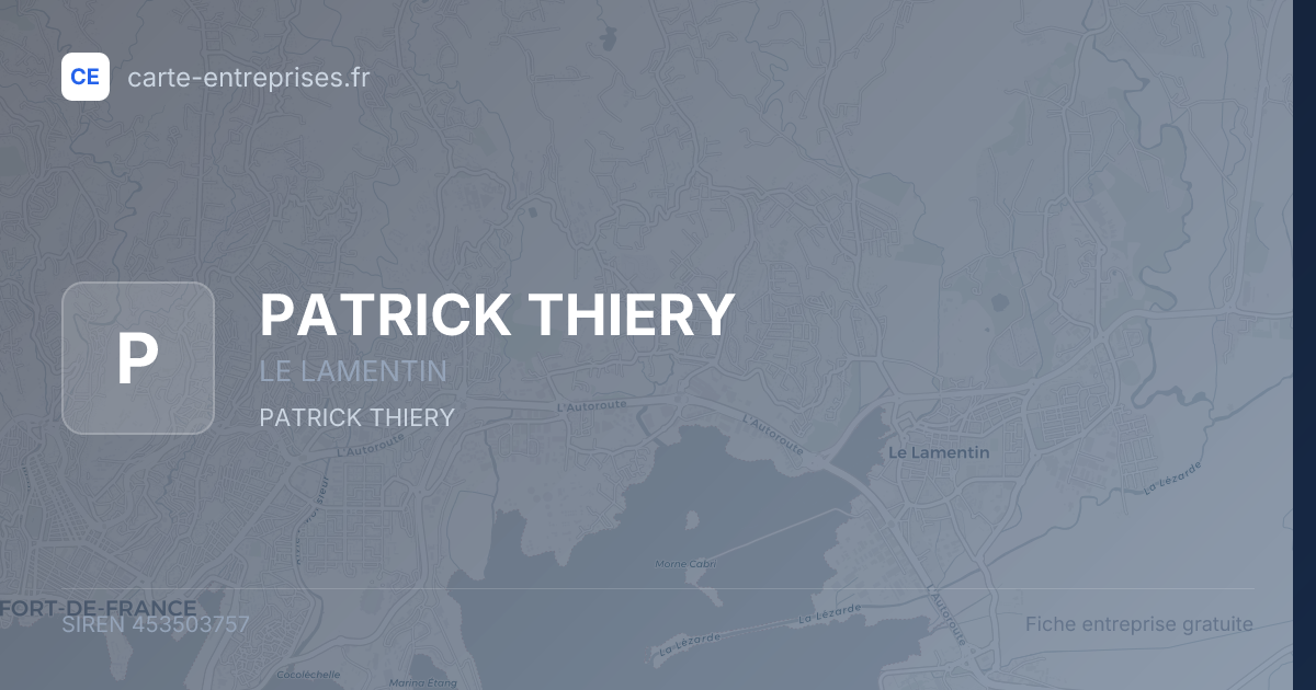 PATRICK THIERY — 453503757 — fiche entreprise